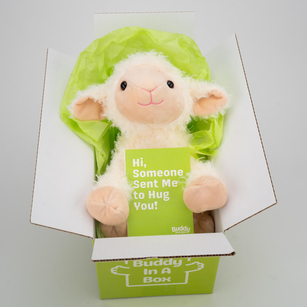 Luna the Little Lamb 🐑🌙