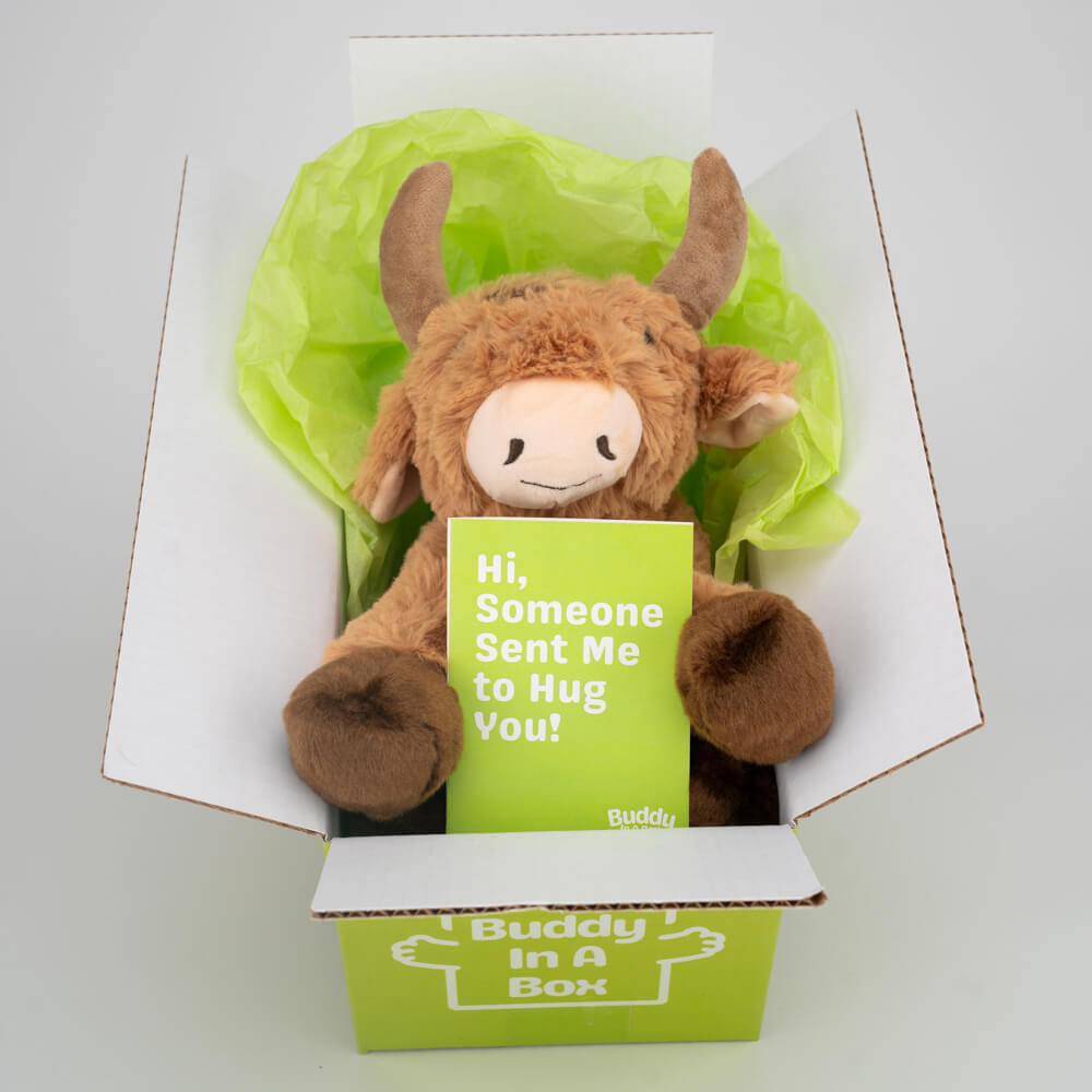 Rusty the Bull 🐮🌾