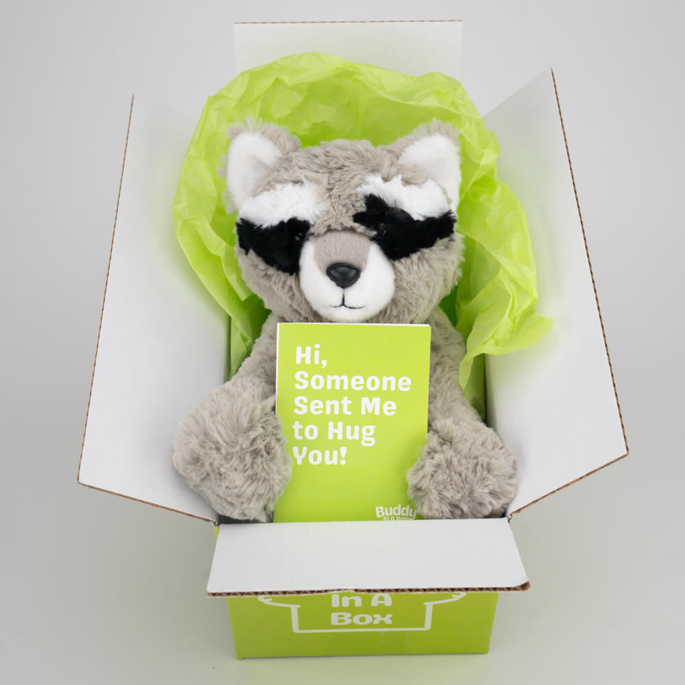 Remy the Raccoon 🦝🖤