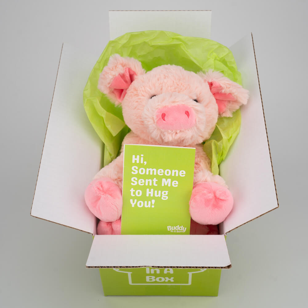 Penny the Pig 🐷💖