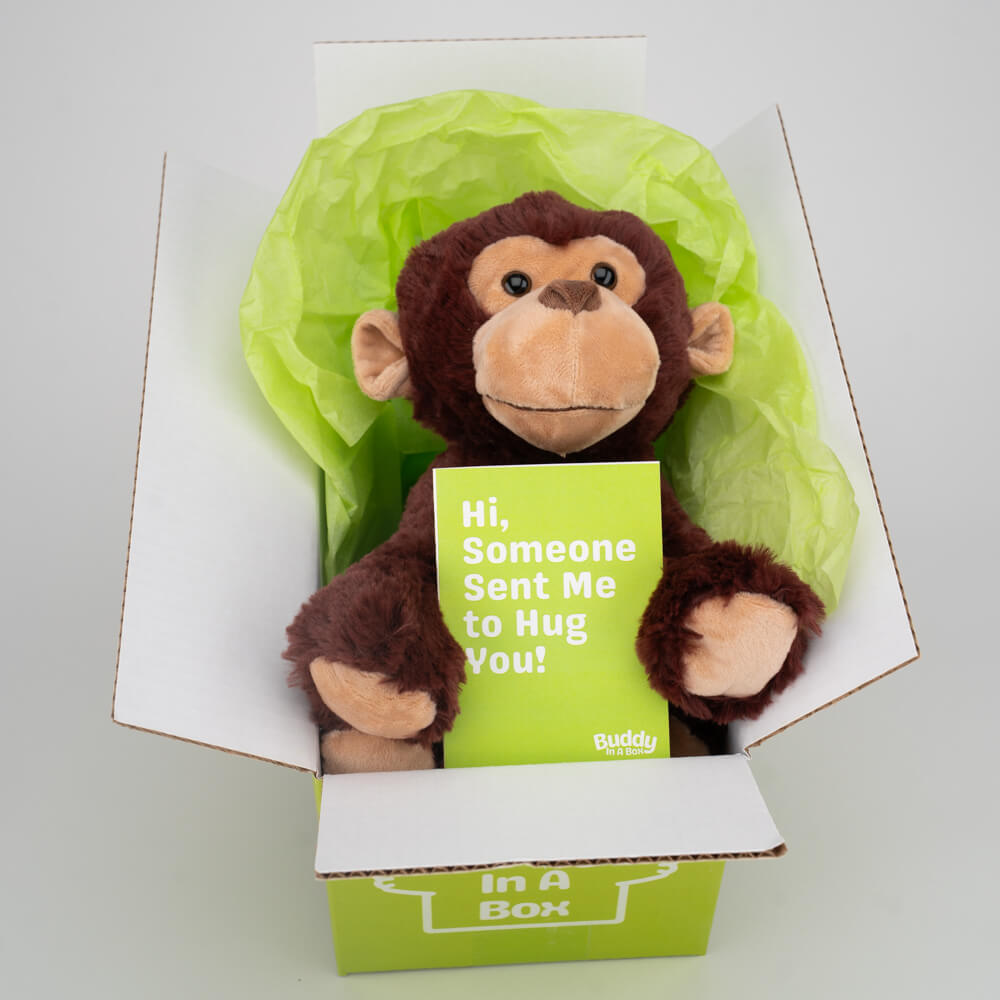 Milo the Monkey 🐵