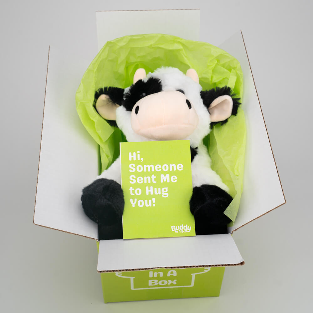 Ollie the Oreo Cow 🐄🍪