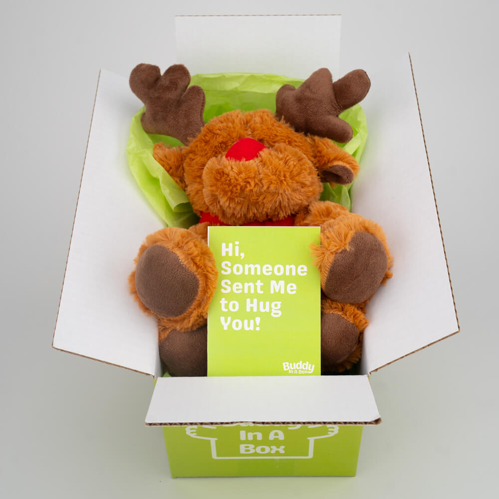 Rolo the Reindeer 🎄