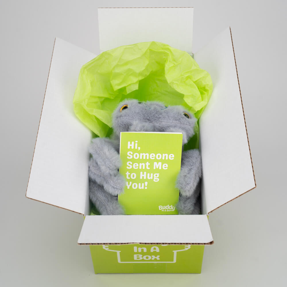 Twila the Spider 🕸️