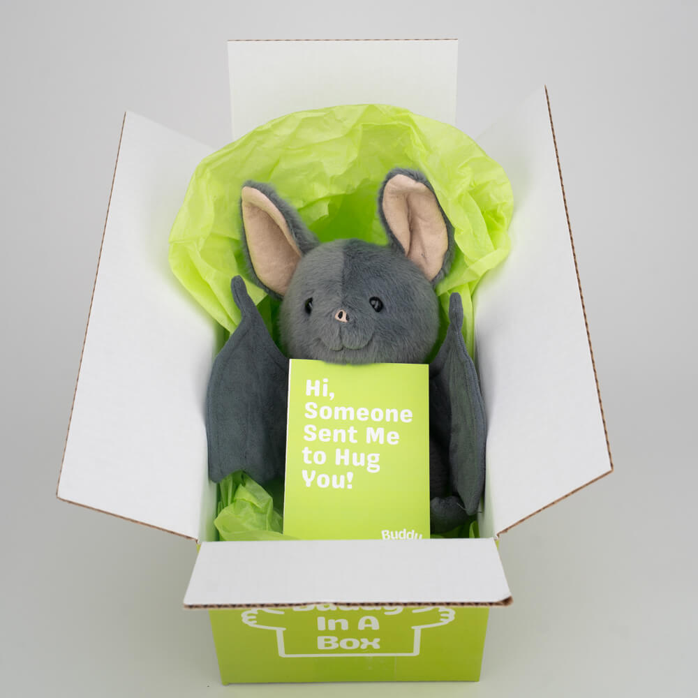 Nova the Bat 🦇✨