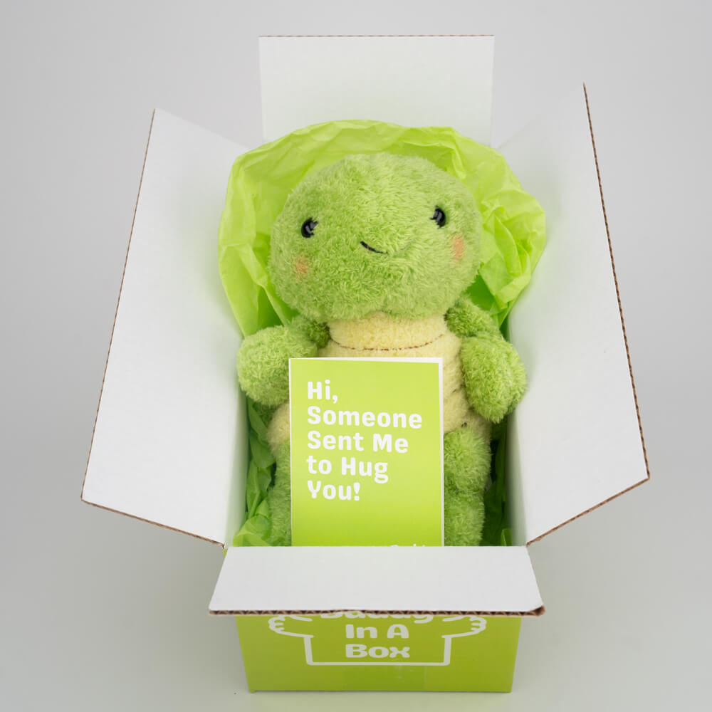 Tilly the Turtle 🐢