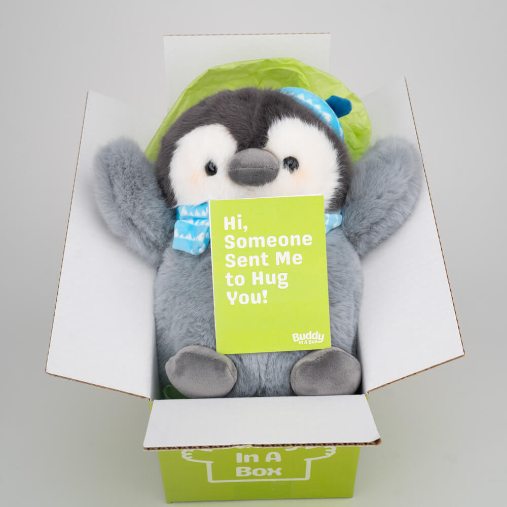 Percy the Penguin 🐧🧣