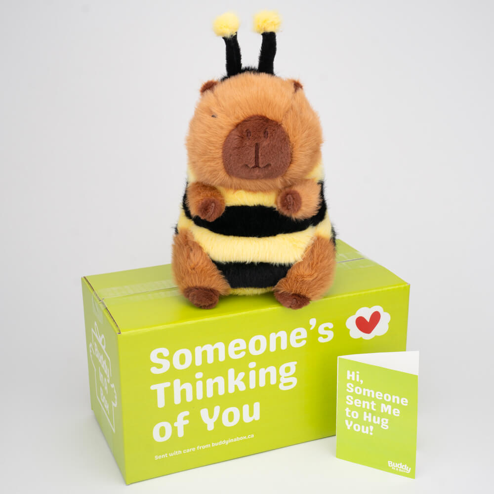 Buzzby the Capybee 🐝🧸