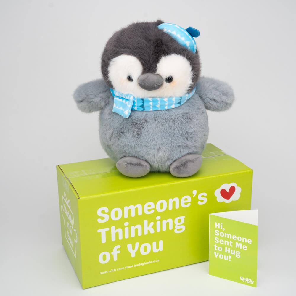 Percy the Penguin 🐧🧣