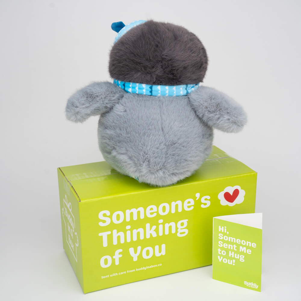 Percy the Penguin 🐧🧣