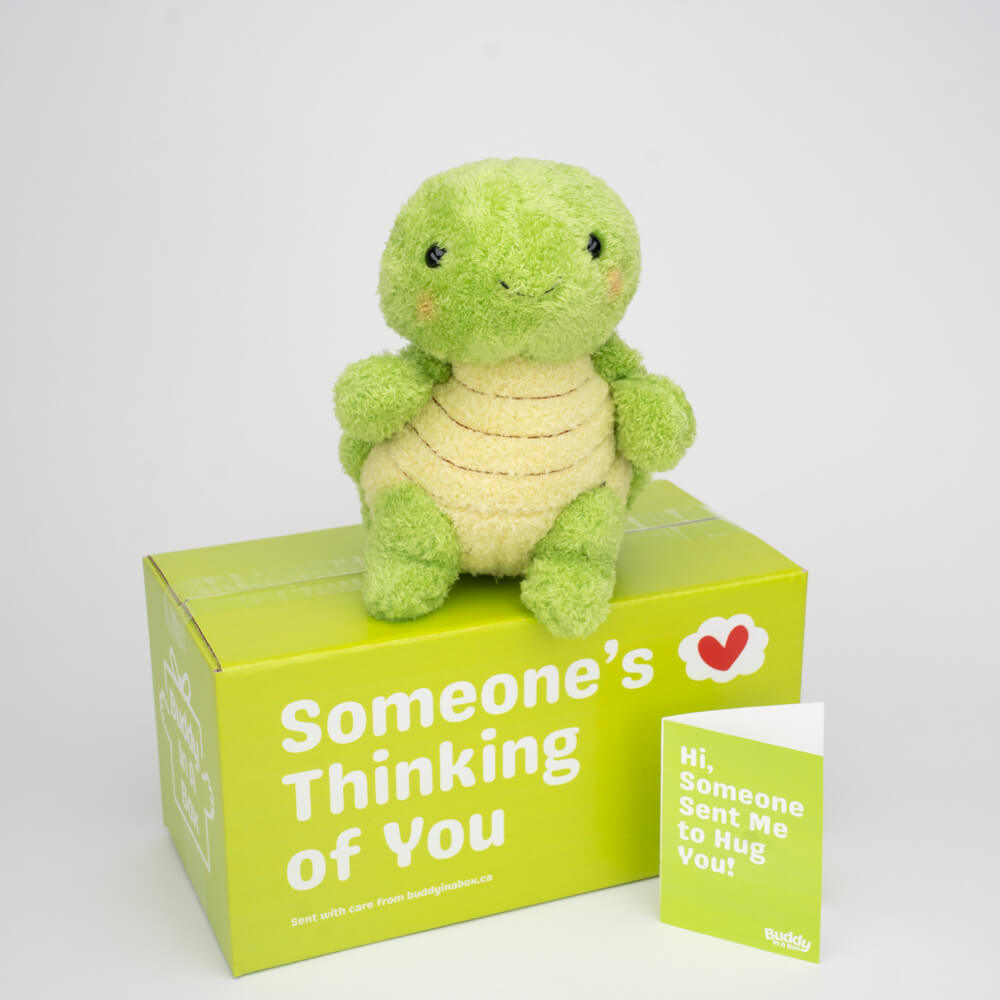 Tilly the Turtle 🐢