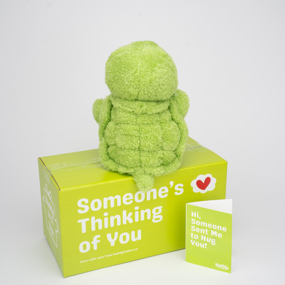 Tilly the Turtle 🐢