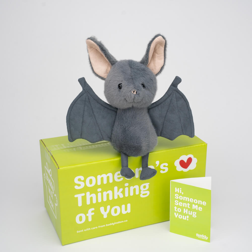 Nova the Bat 🦇✨