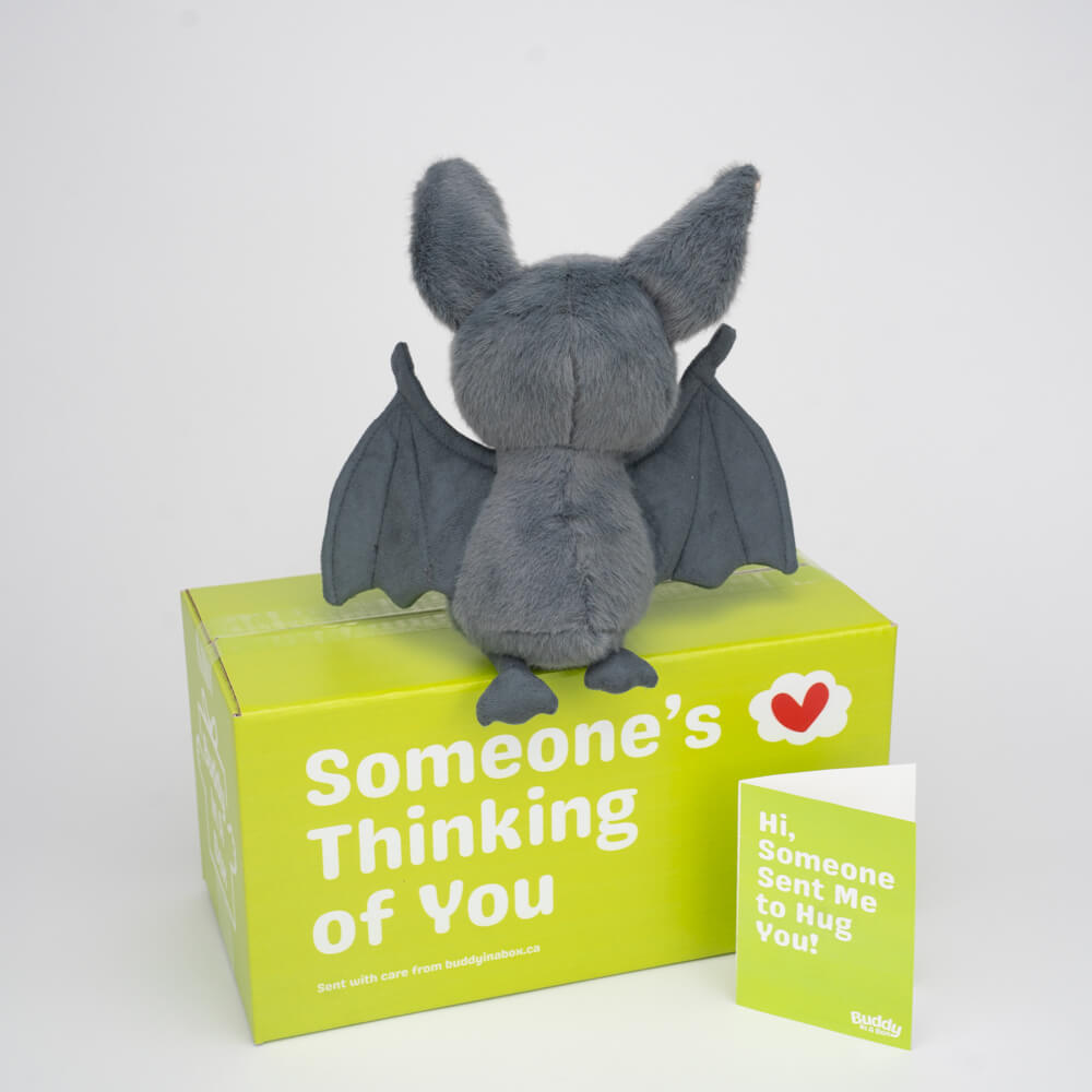 Nova the Bat 🦇✨