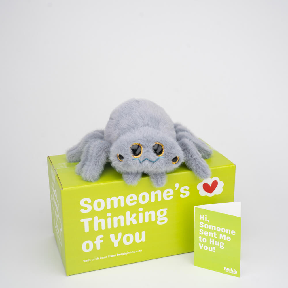 Twila the Spider 🕸️