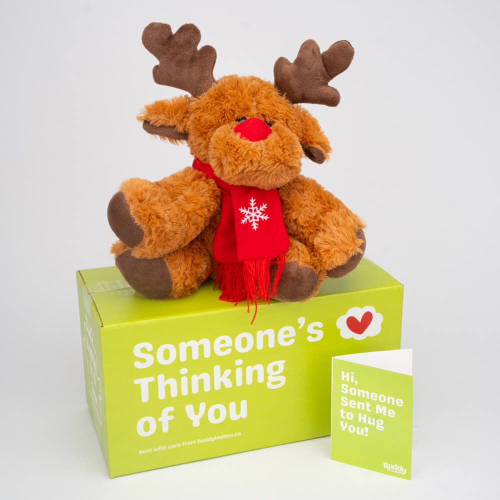 Rolo the Reindeer 🎄