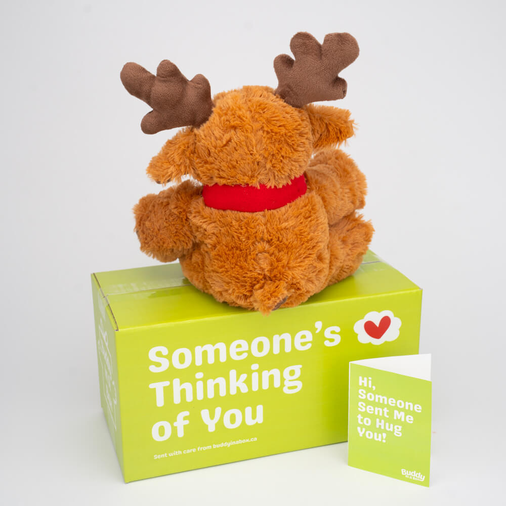 Rolo the Reindeer 🎄