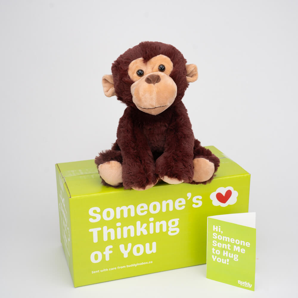 Milo the Monkey 🐵