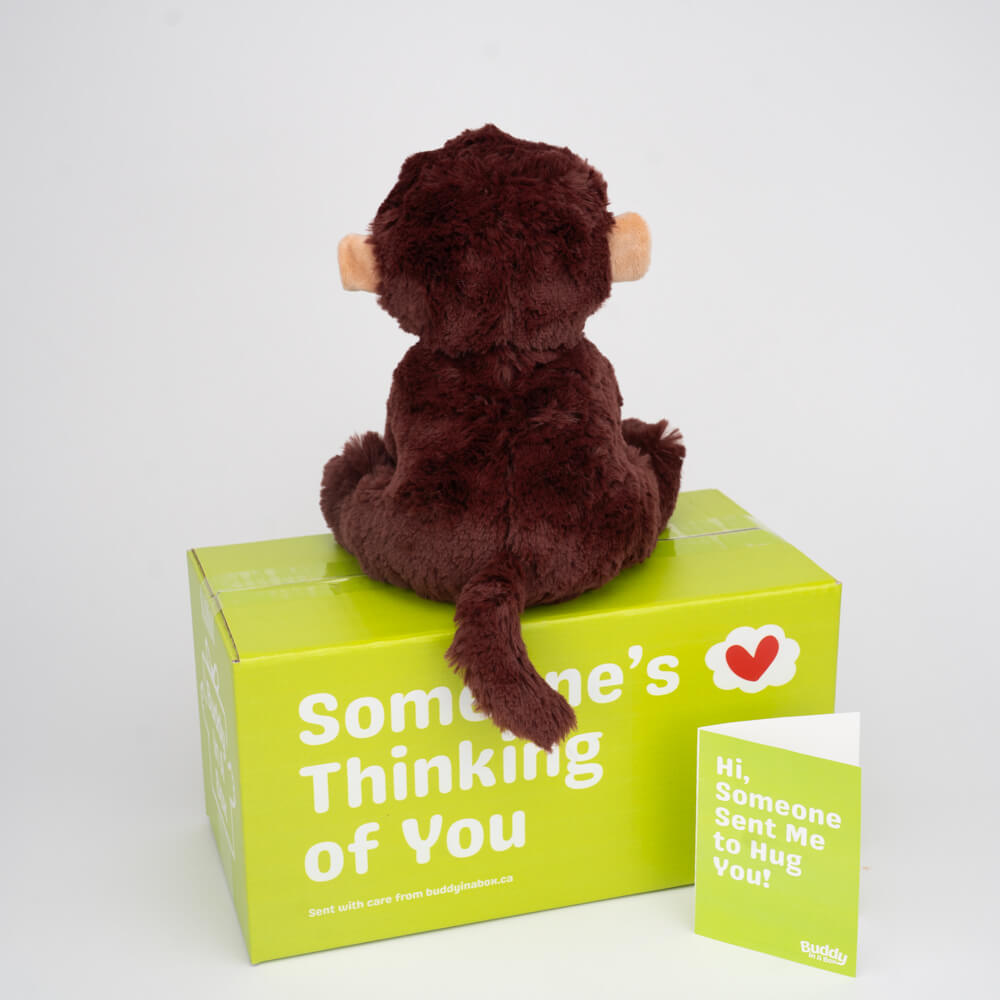 Milo the Monkey 🐵