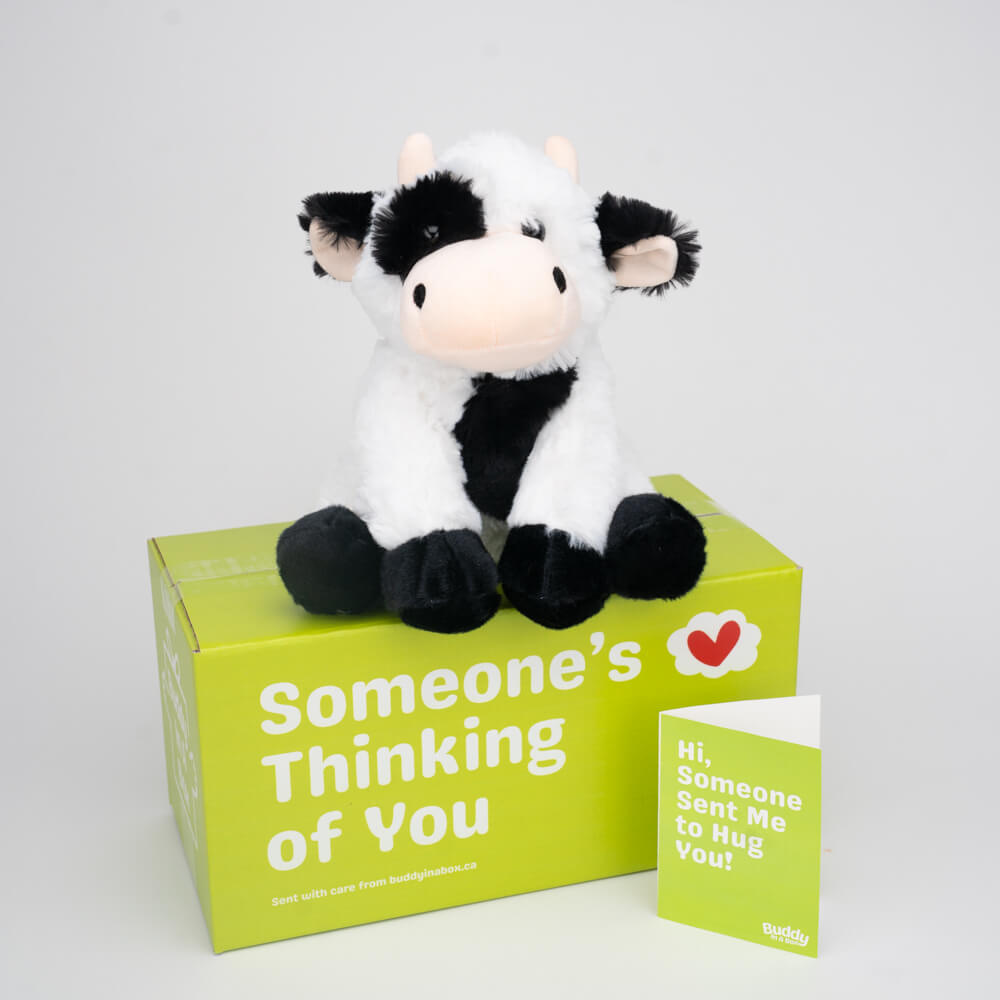 Ollie the Oreo Cow 🐄🍪