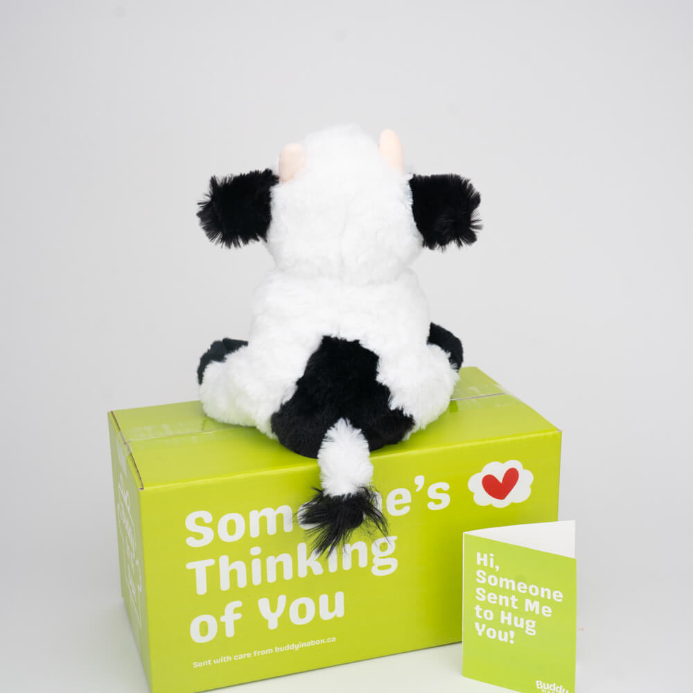 Ollie the Oreo Cow 🐄🍪