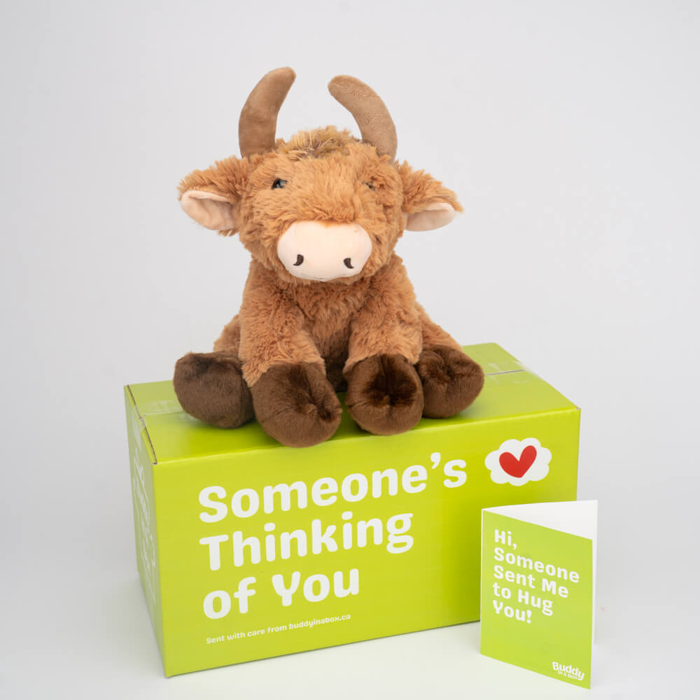 Rusty the Bull 🐮🌾