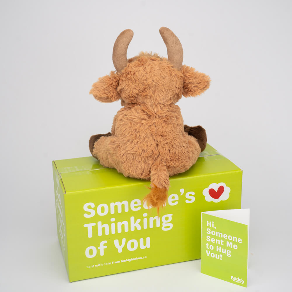 Rusty the Bull 🐮🌾