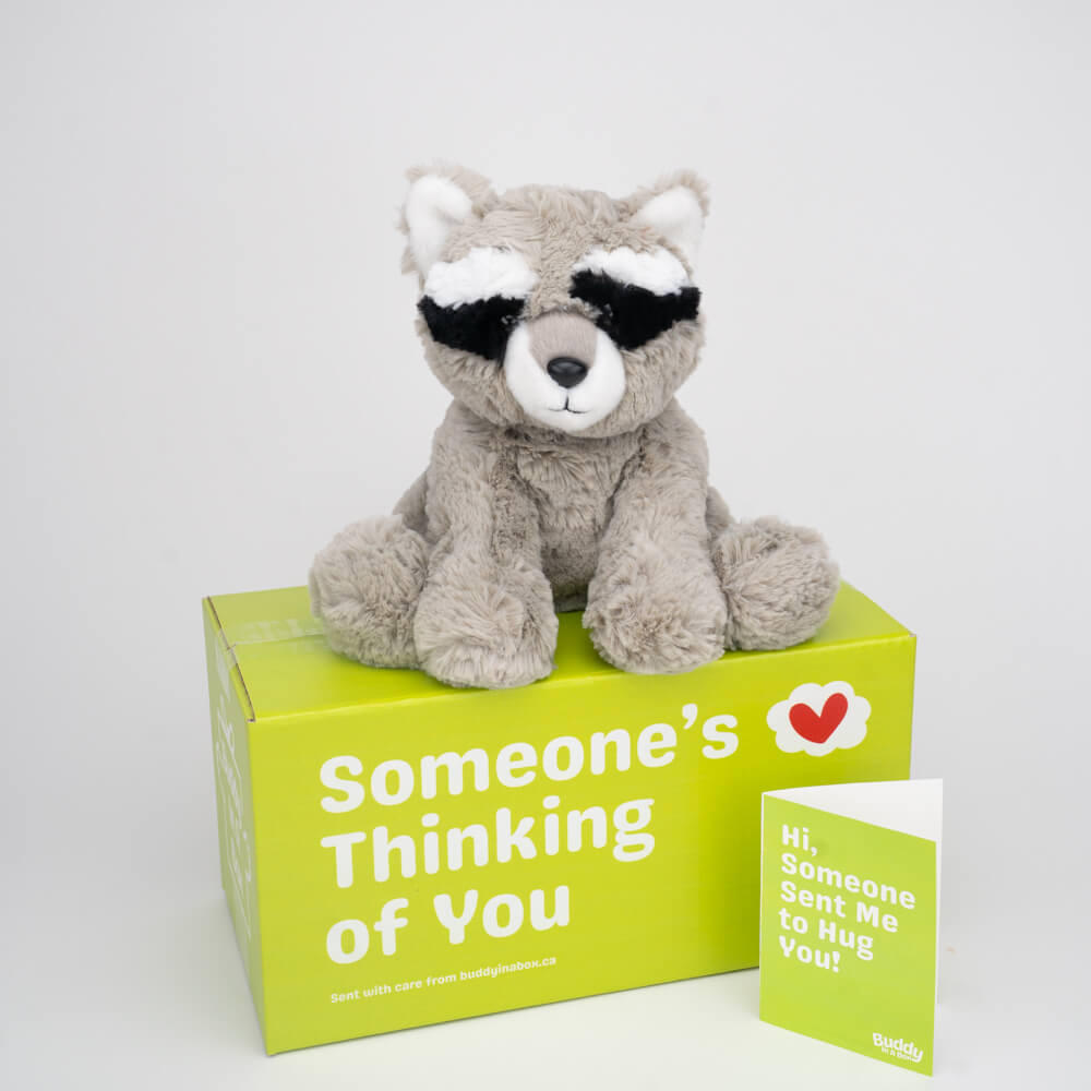 Remy the Raccoon 🦝🖤