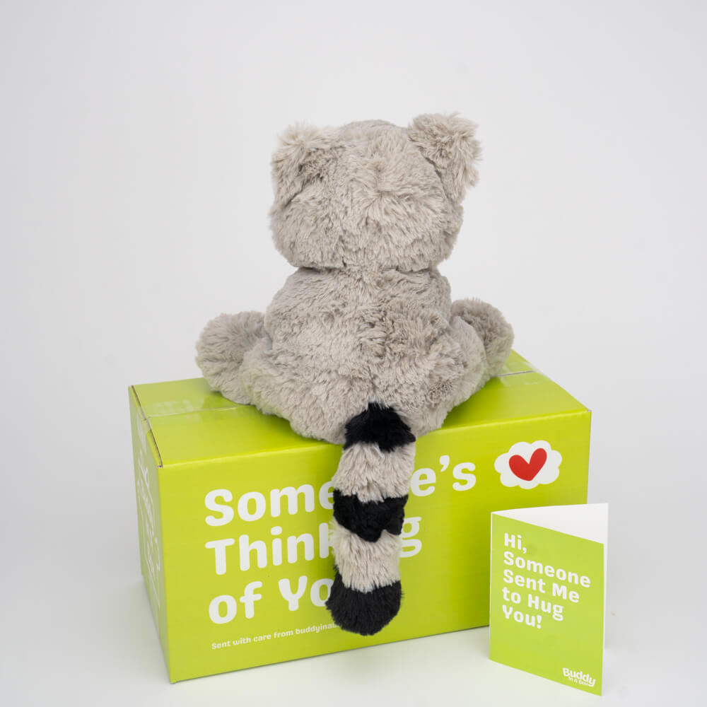 Remy the Raccoon 🦝🖤