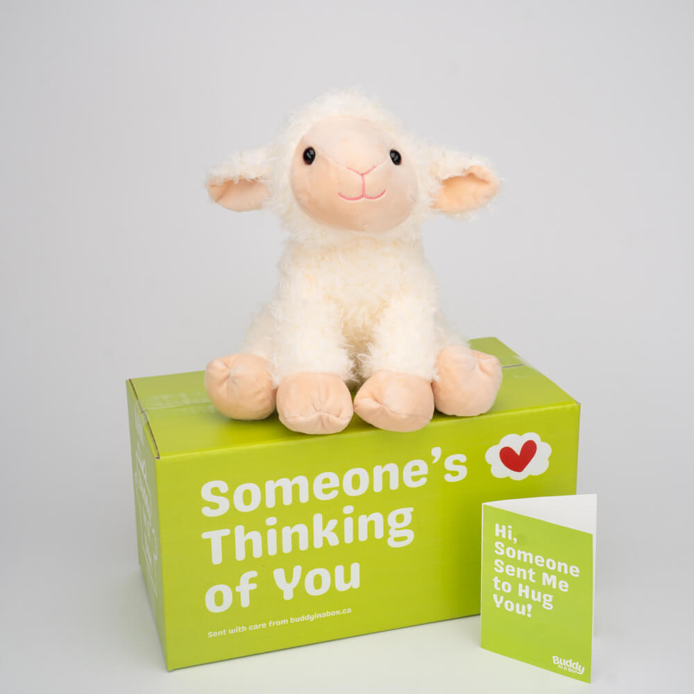 Luna the Little Lamb 🐑🌙