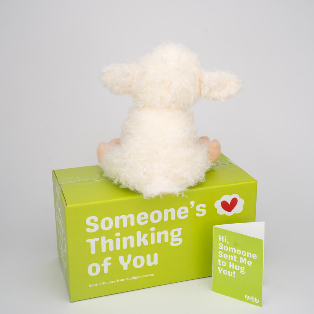 Luna the Little Lamb 🐑🌙