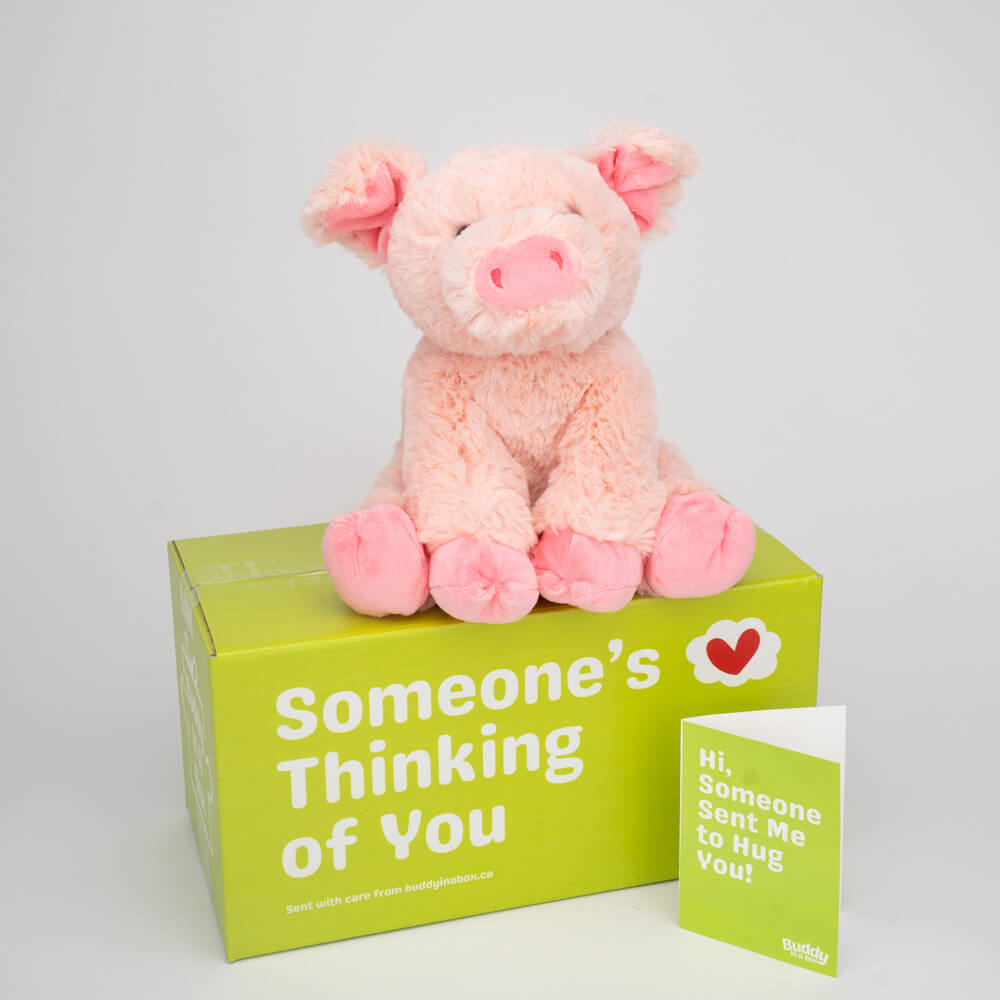 Penny the Pig 🐷💖