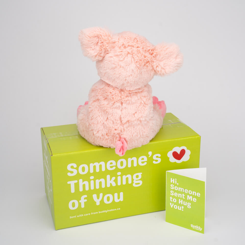 Penny the Pig 🐷💖