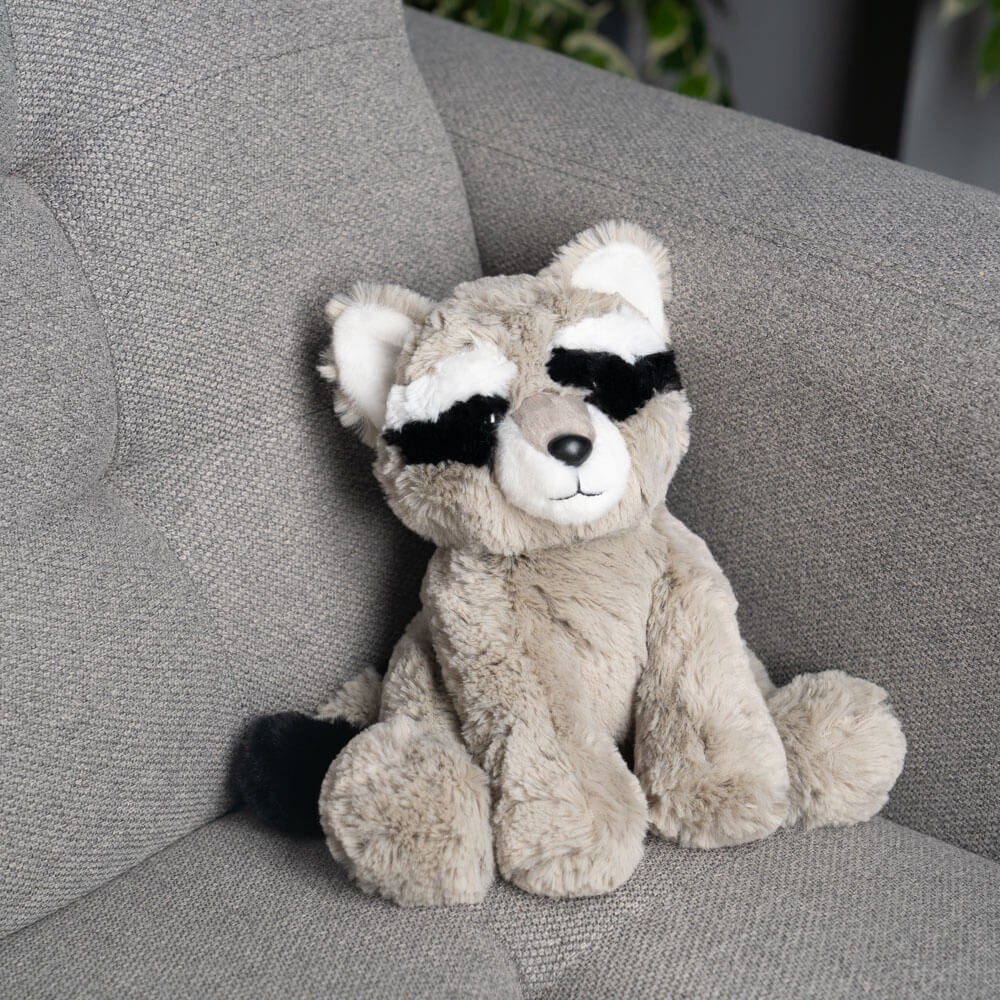 Remy the Raccoon 🦝🖤