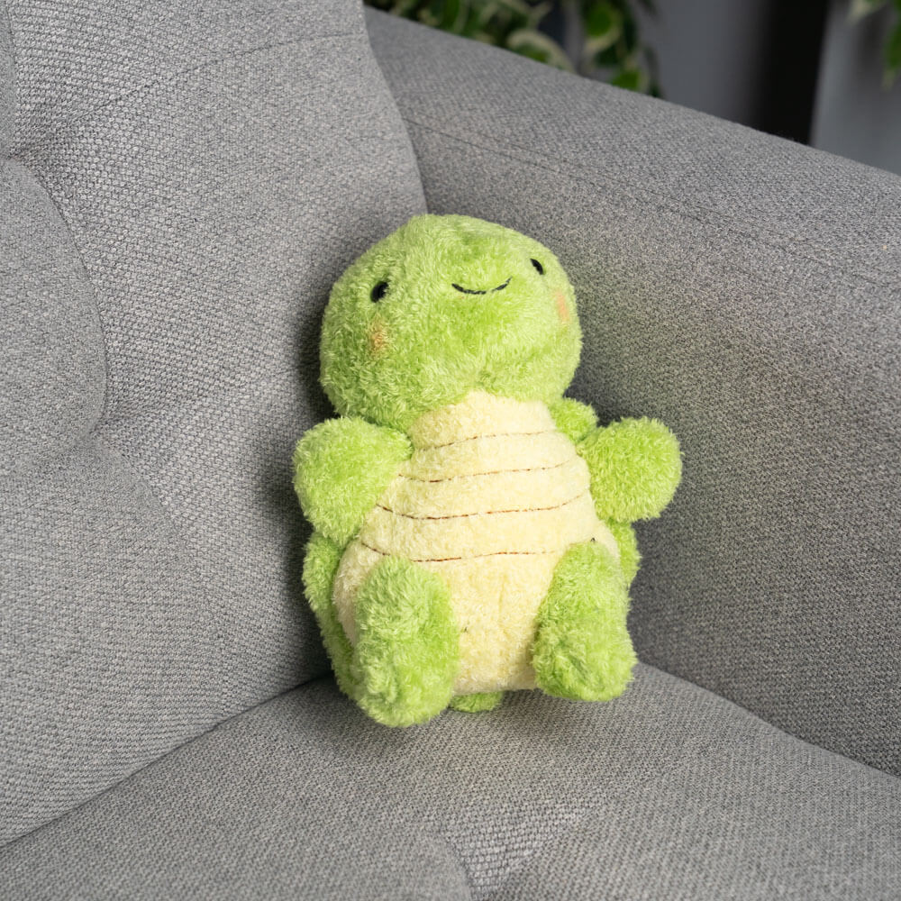 Tilly the Turtle 🐢