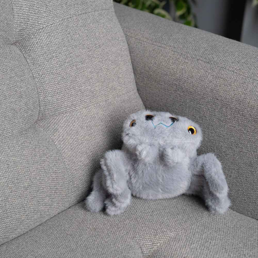 Twila the Spider 🕸️