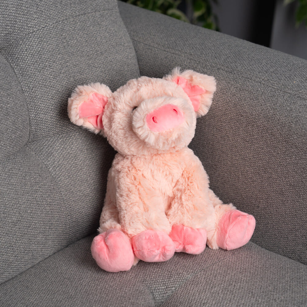 Penny the Pig 🐷💖