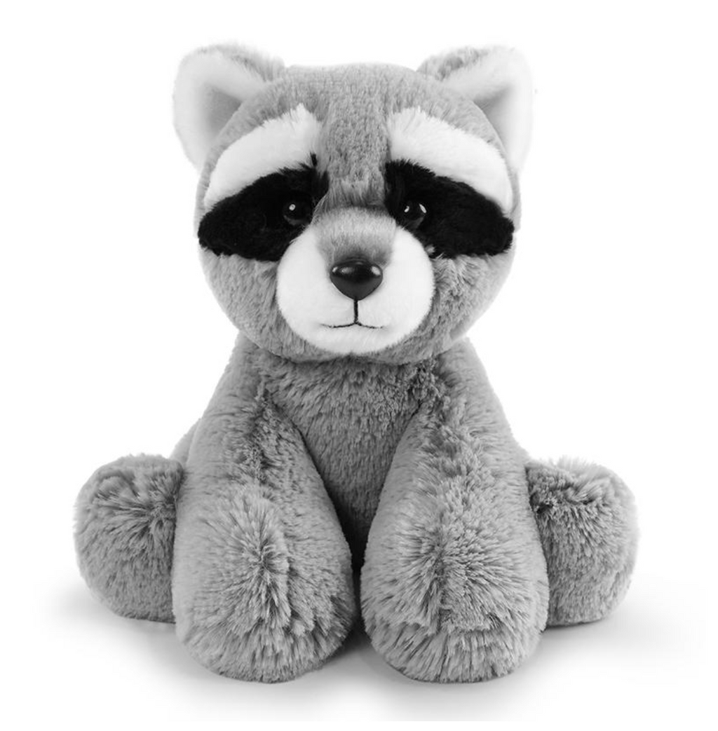 Remy the Raccoon 🦝🖤