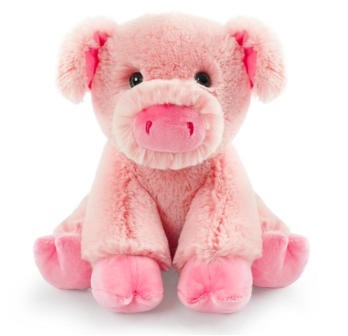 Penny the Pig 🐷💖